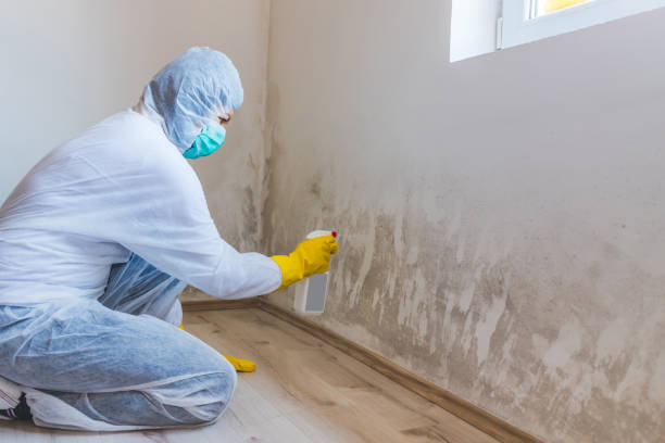 Hvac And Air Duct Mold Remediation inspection of HVAC system in Dedham